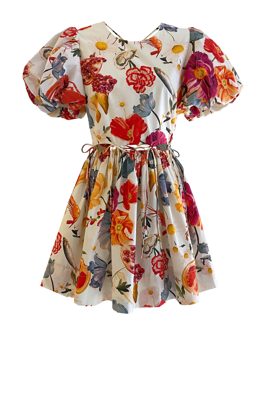 RUNWAY • Mini Rembrandt Dress